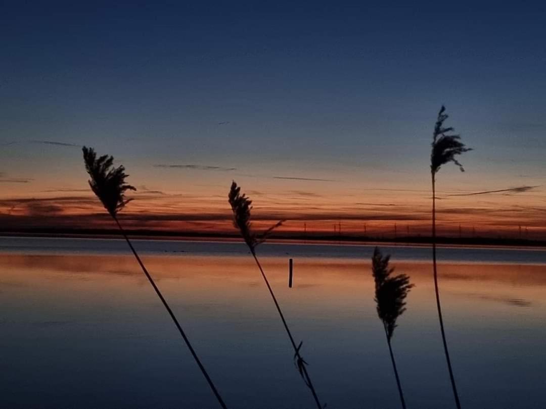 Duemmerliebe Mit Garten, 10 Min. Fusslaeufig Zum See Hude  ภายนอก รูปภาพ
