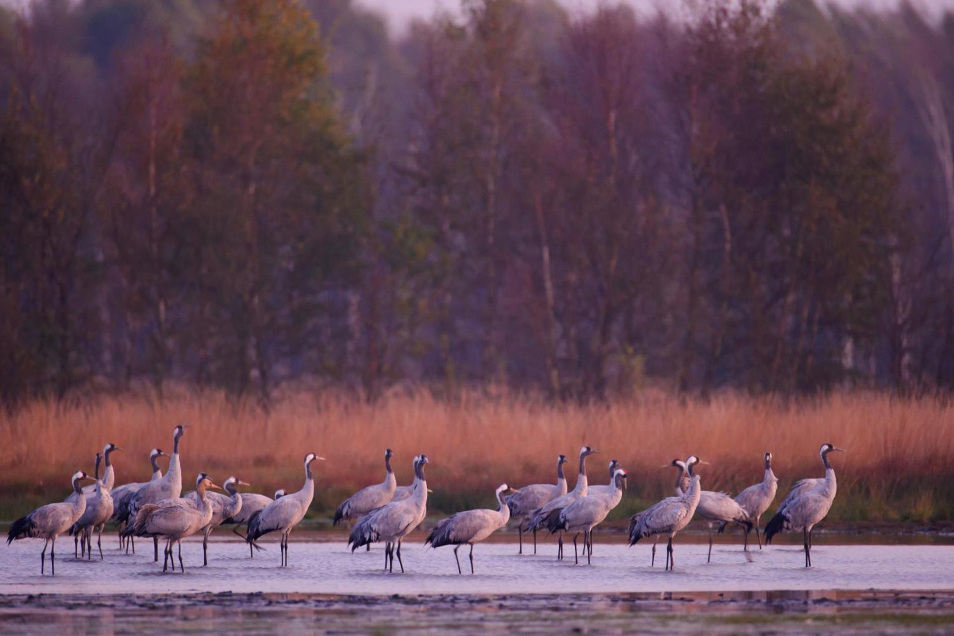 Duemmerliebe Mit Garten, 10 Min. Fusslaeufig Zum See Hude  ภายนอก รูปภาพ