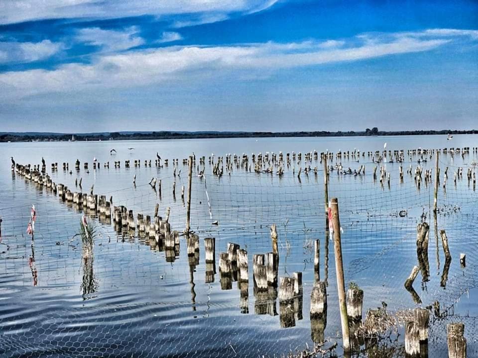 Duemmerliebe Mit Garten, 10 Min. Fusslaeufig Zum See Hude  ภายนอก รูปภาพ
